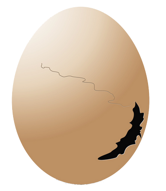 cracked egg
